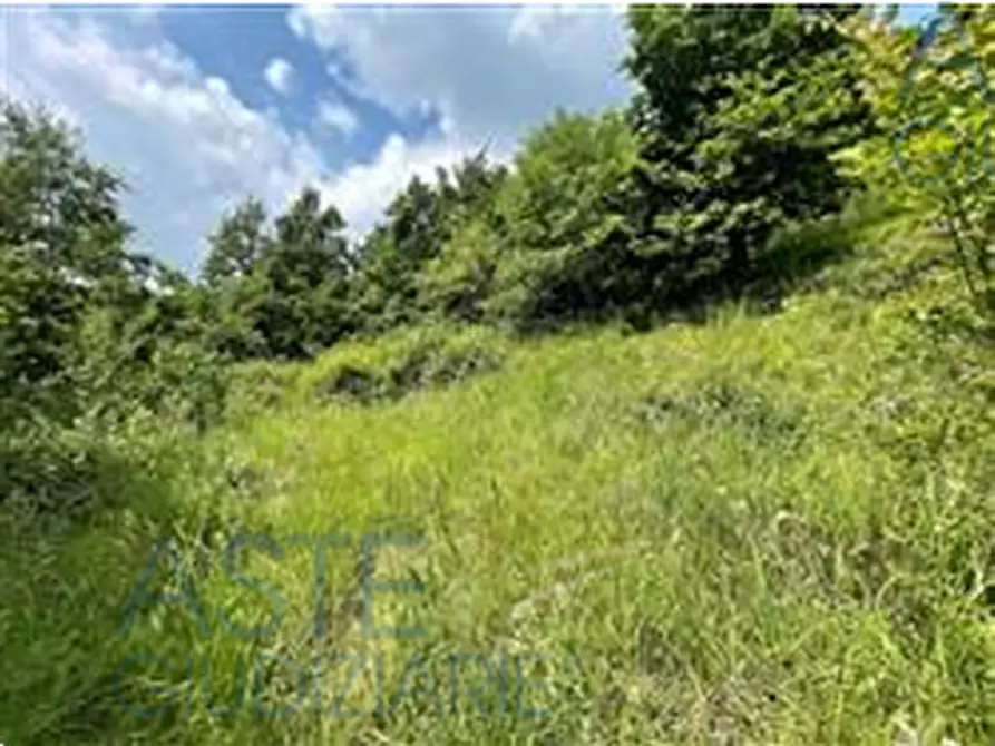 Immagine 3 di Terreno agricolo in vendita  in Località Ruk a Mura