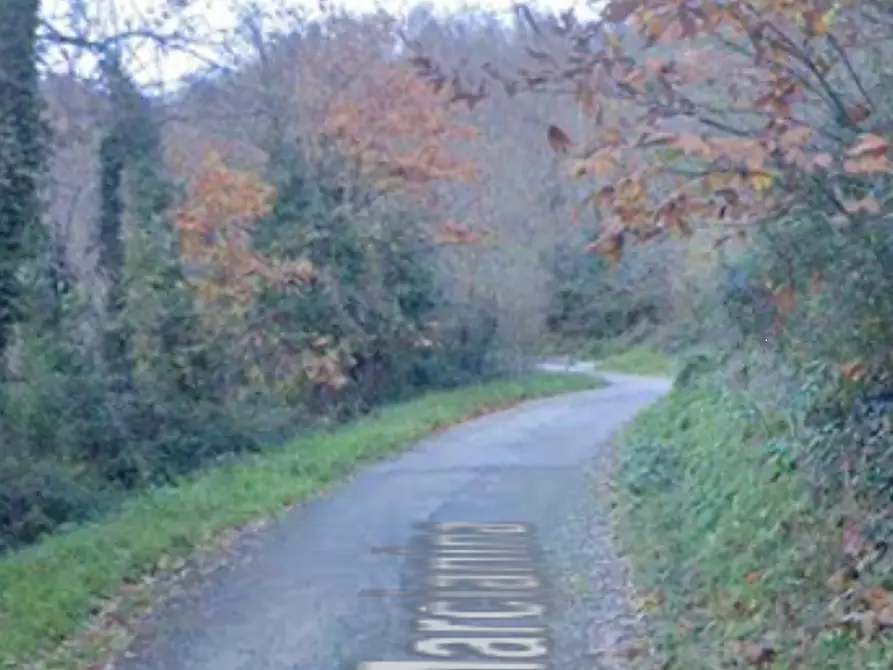 Immagine 11 di Porzione di casa in vendita  in Via di Marcianina a Pistoia