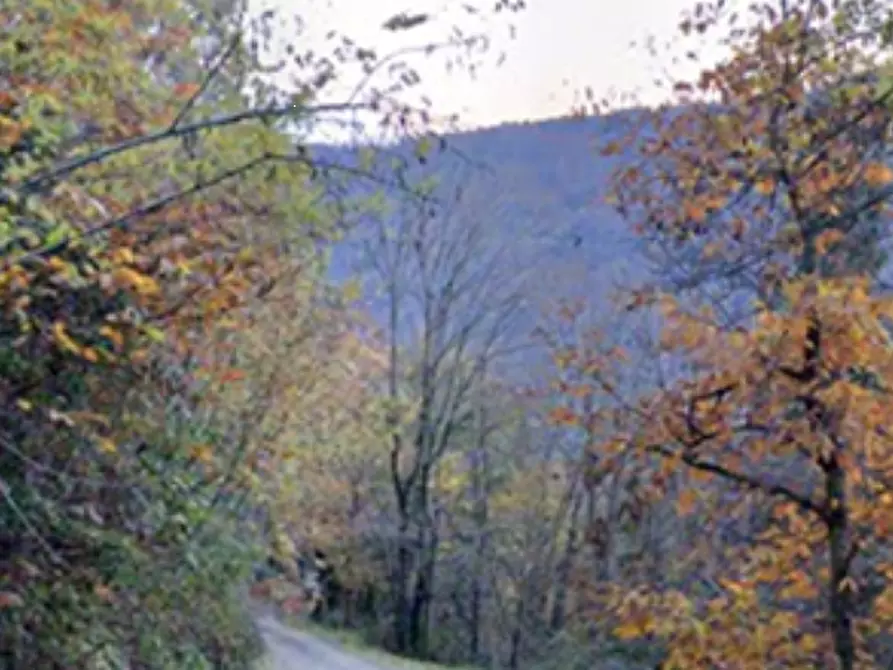 Immagine 12 di Porzione di casa in vendita  in Via di Marcianina a Pistoia