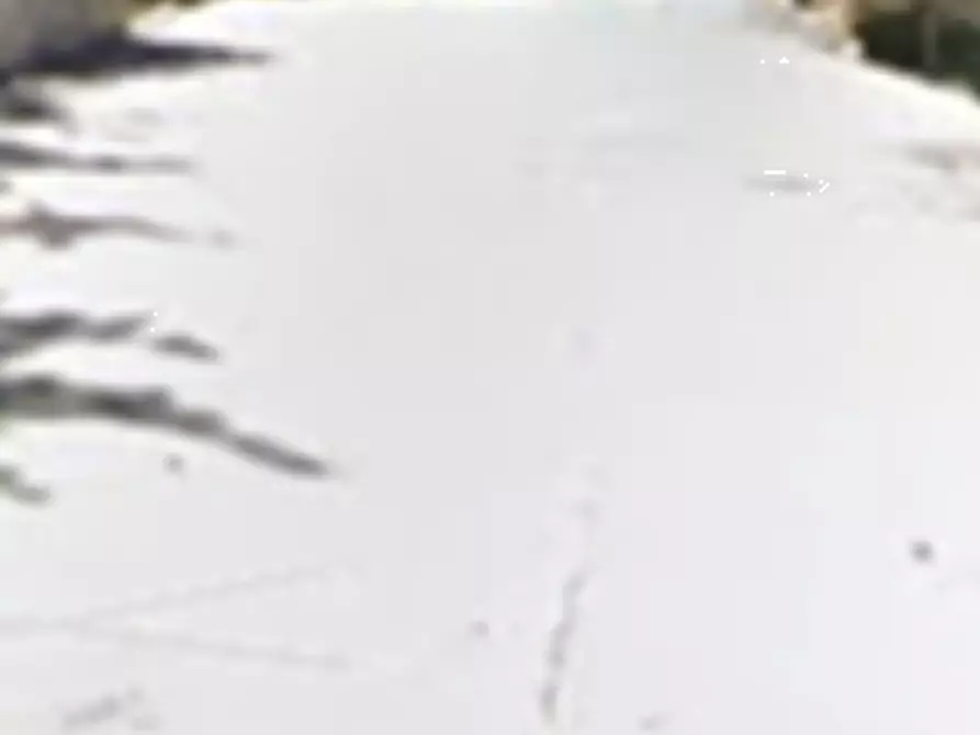 Immagine 19 di Stabile in vendita  in Via Serra di Sopra a Pennabilli