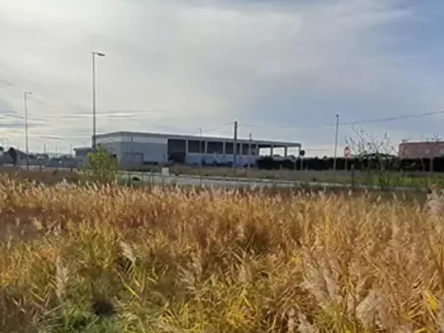 Immagine 3 di Terreno edificabile in vendita  in Via dei Montanini a Gatteo