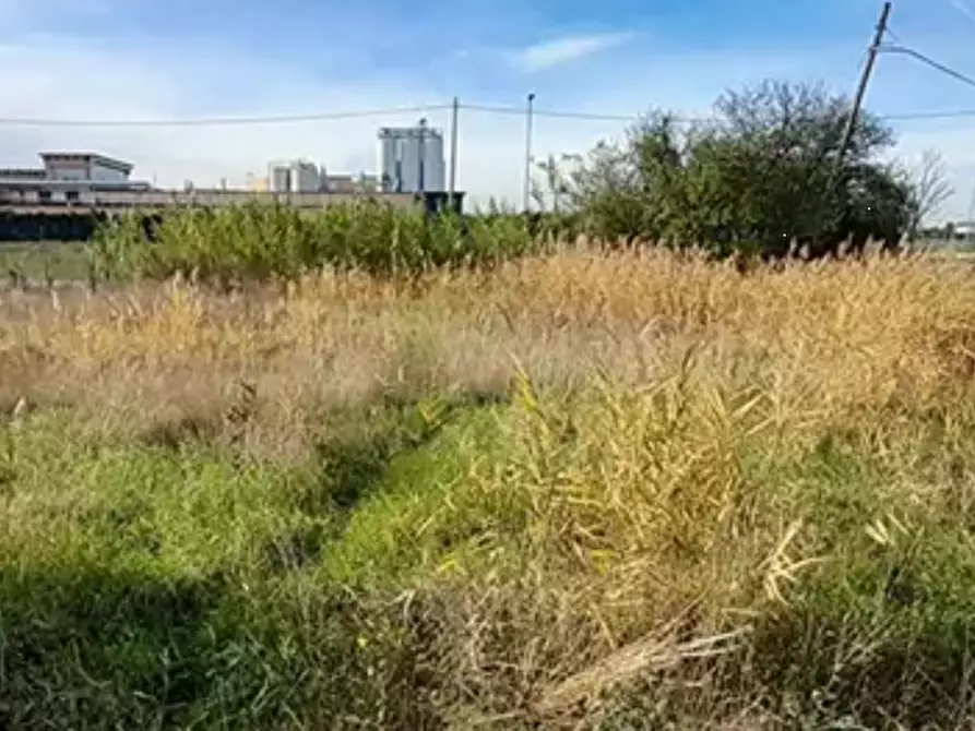 Immagine 4 di Terreno edificabile in vendita  in Via dei Montanini a Gatteo