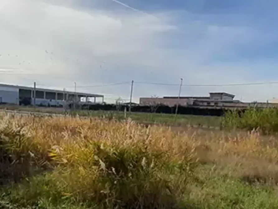 Immagine 5 di Terreno edificabile in vendita  in Via dei Montanini a Gatteo