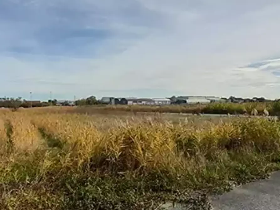 Immagine 6 di Terreno edificabile in vendita  in Via dei Montanini a Gatteo