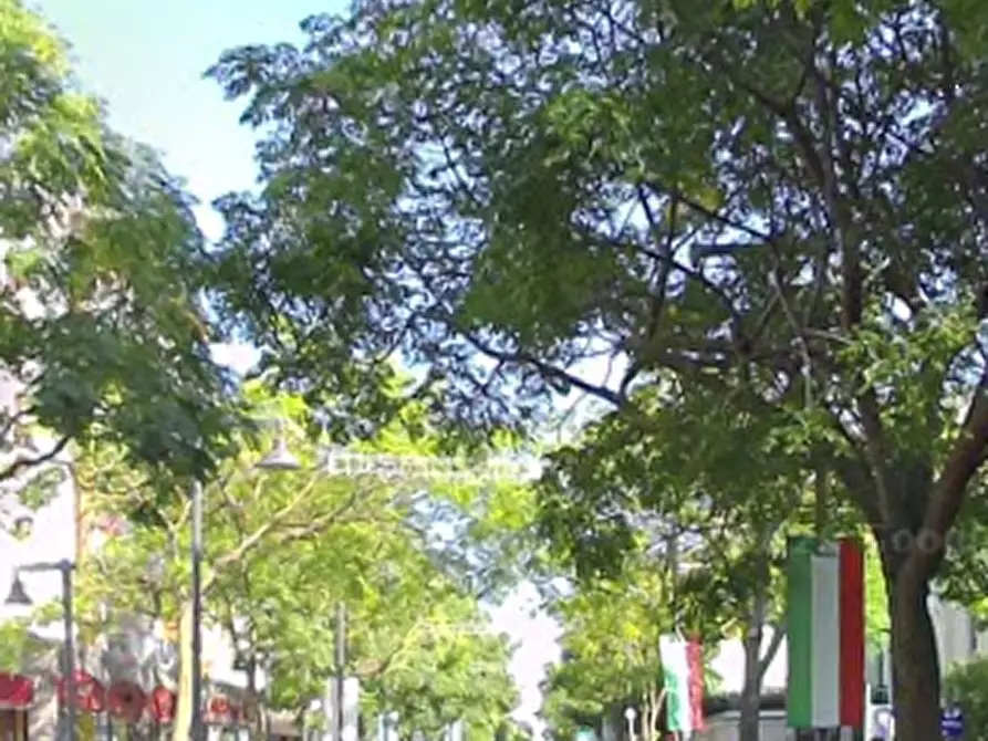 Immagine 13 di Terreno edificabile in vendita  in Via dei Montanini a Gatteo