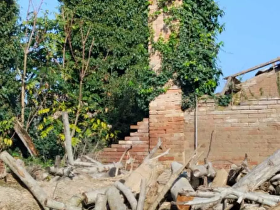 Immagine 6 di Magazzino in vendita  in Via Viazza a San Prospero