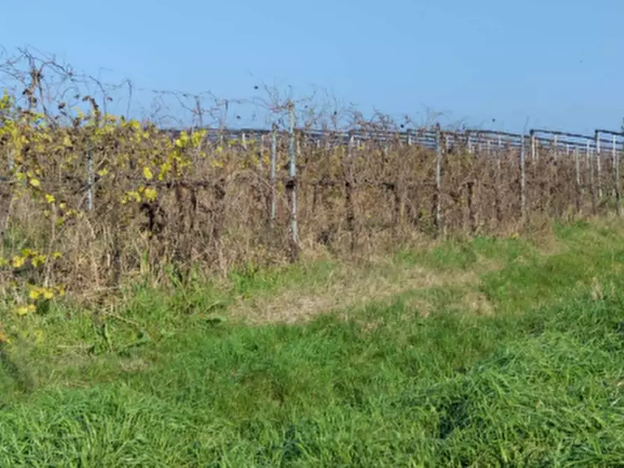 Immagine 8 di Magazzino in vendita  in Via Viazza a San Prospero