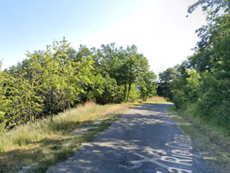 Immagine 9 di Rustico / casale in vendita  in Via Rio Ghiaia Guiglia a Guiglia