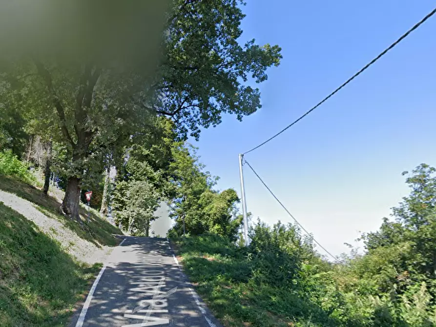 Immagine 5 di Terreno agricolo in vendita  in Via Rio Ghiaia a Guiglia