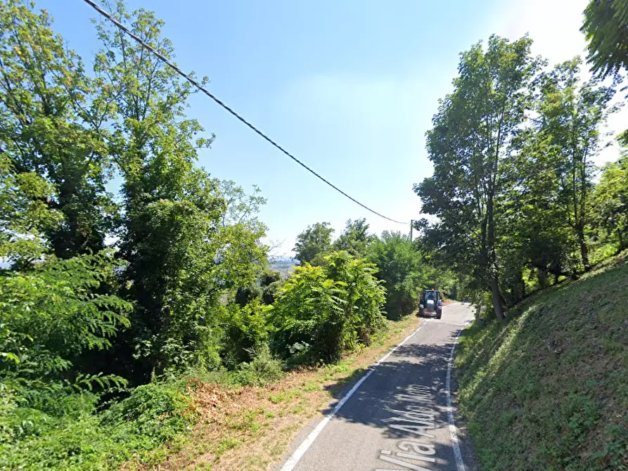 Immagine 6 di Terreno agricolo in vendita  in Via Rio Ghiaia a Guiglia