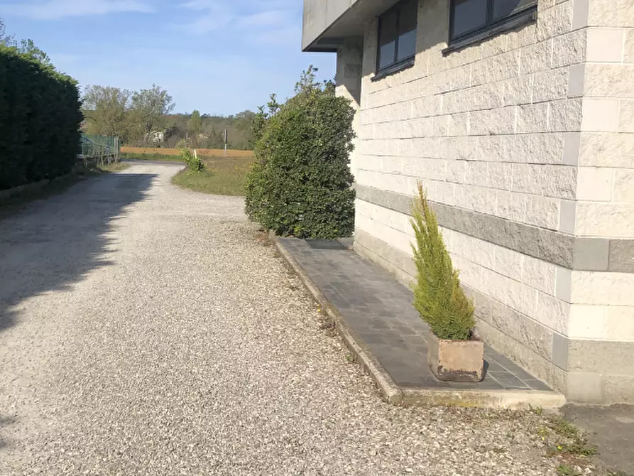 Immagine 3 di Magazzino in vendita  in Via Collecchio a Sala Baganza