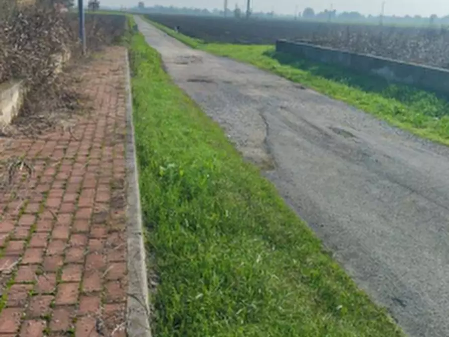 Immagine 4 di Terreno agricolo in vendita  in Località San Prospero a San Prospero