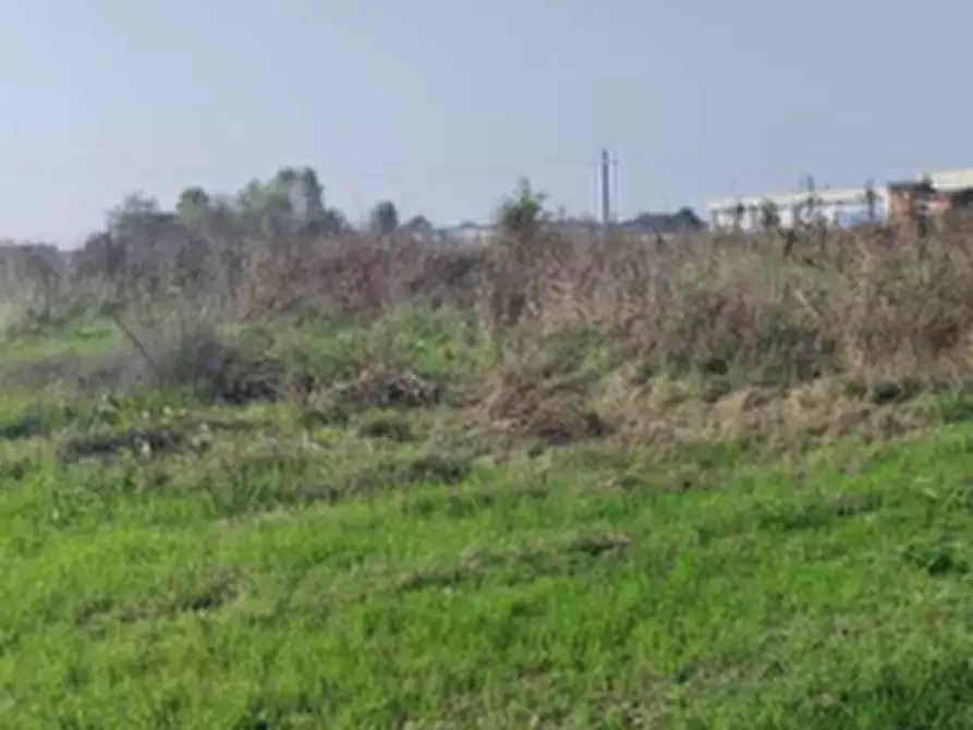 Immagine 1 di Terreno agricolo in vendita  in Località San Prospero a San Prospero