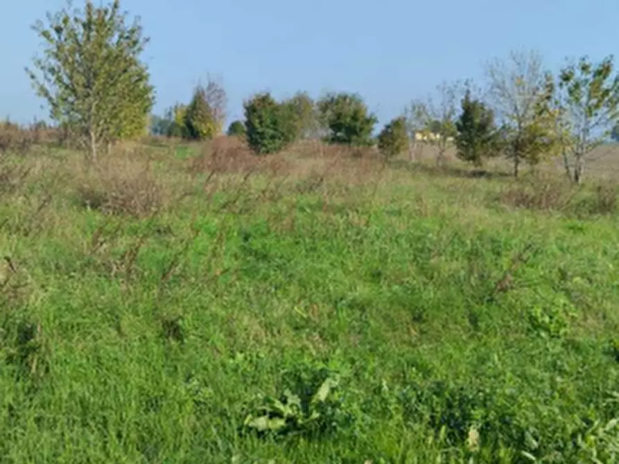 Immagine 5 di Terreno agricolo in vendita  in Località San Prospero a San Prospero