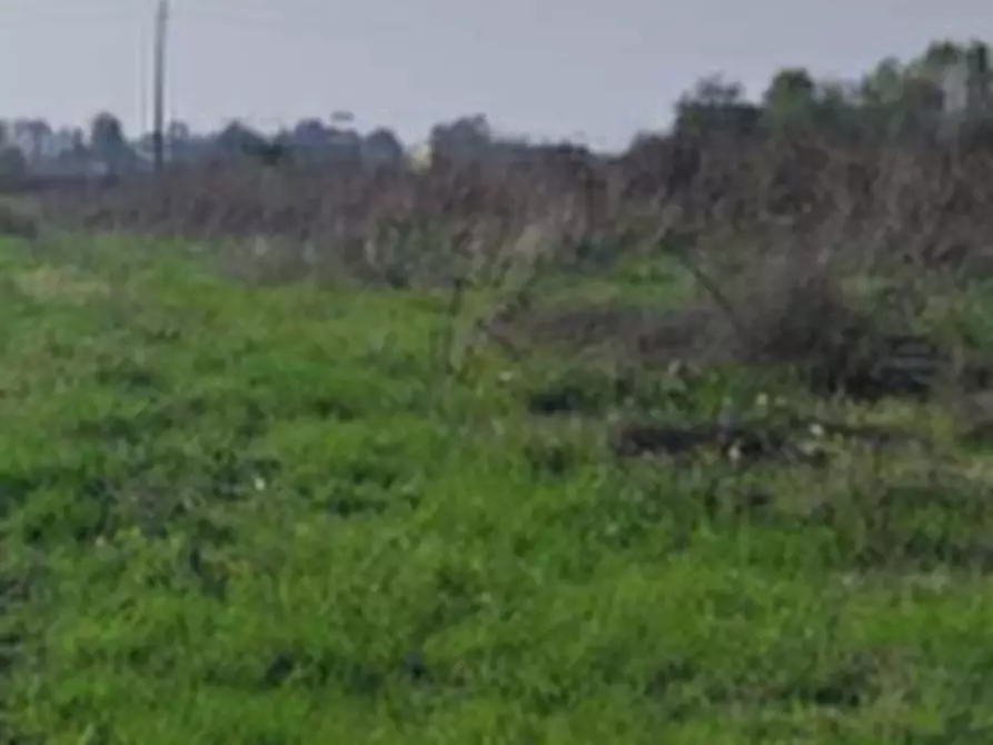 Immagine 6 di Terreno agricolo in vendita  in Località San Prospero a San Prospero