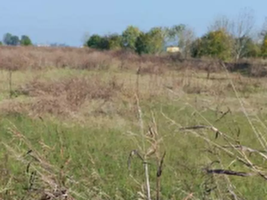 Immagine 2 di Terreno agricolo in vendita  in Località San Prospero a San Prospero