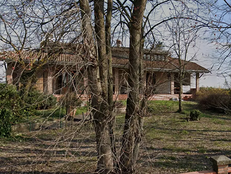 Immagine 6 di Casa indipendente in vendita  in Via Bertolotta a Sissa