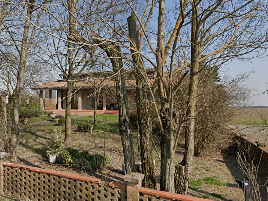 Immagine 7 di Casa indipendente in vendita  in Via Bertolotta a Sissa