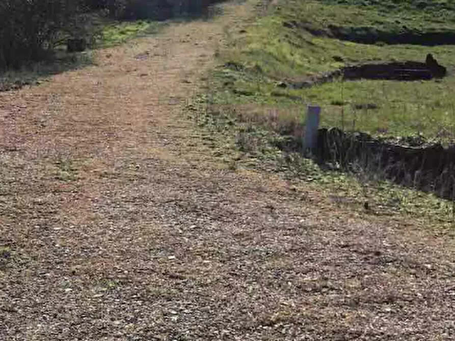 Immagine 2 di Magazzino in vendita  in Località Boffalora a Gazzola