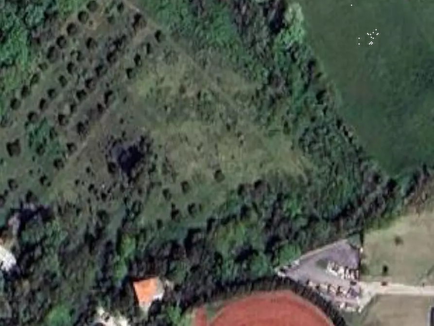 Immagine 9 di Terreno agricolo in vendita  in Strada Galilea a Sant'elpidio A Mare