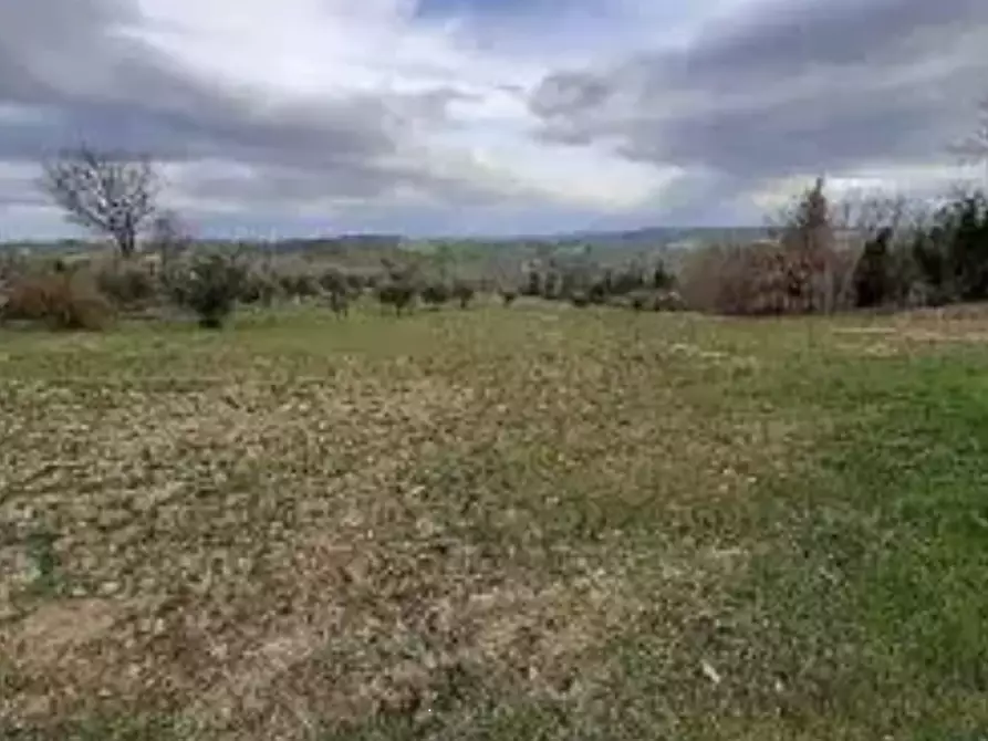 Immagine 3 di Terreno agricolo in vendita  in località Falerone a Falerone