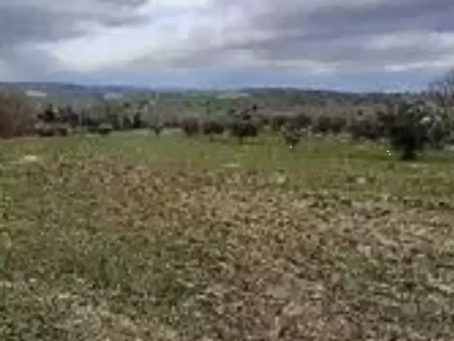 Immagine 1 di Terreno agricolo in vendita  in località Falerone a Falerone