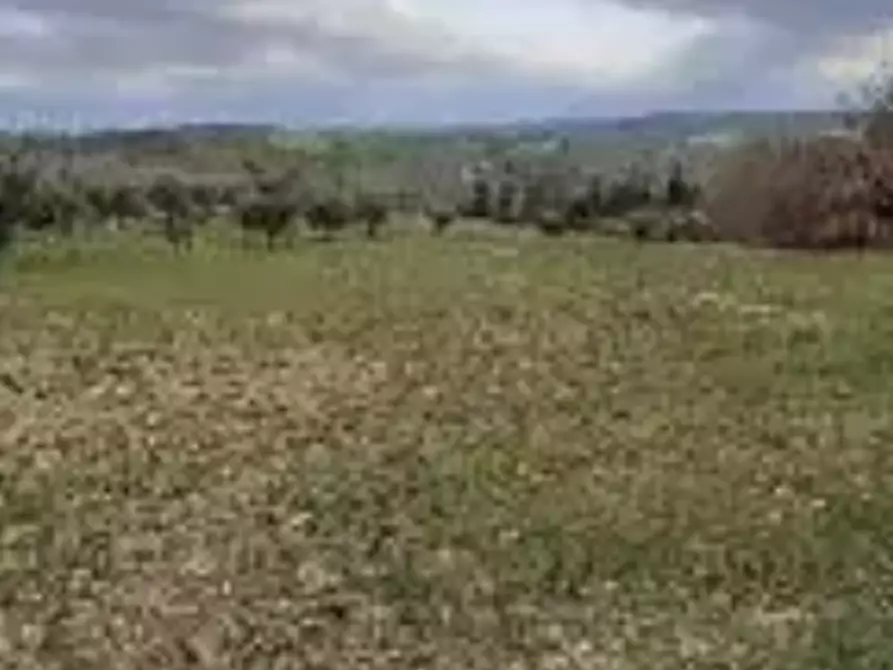 Immagine 8 di Terreno agricolo in vendita  in località Falerone a Falerone