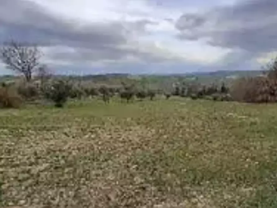 Immagine 10 di Terreno agricolo in vendita  in località Falerone a Falerone
