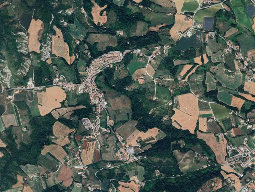 Immagine 12 di Terreno agricolo in vendita  in località Falerone a Falerone