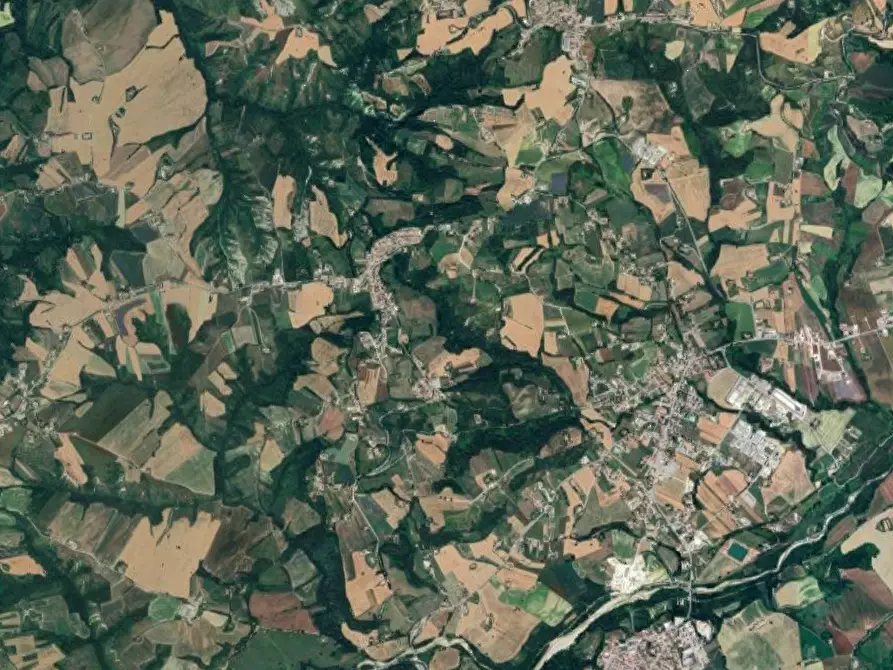 Immagine 14 di Terreno agricolo in vendita  in località Falerone a Falerone