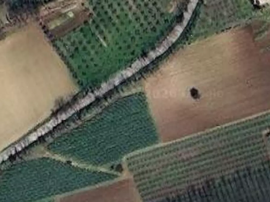 Immagine 2 di Terreno agricolo in vendita  in Strada Contrada Montecamauro a Campofilone