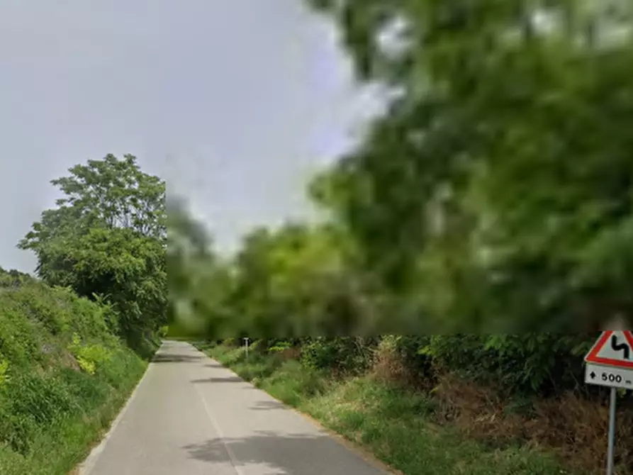 Immagine 8 di Terreno agricolo in vendita  in Strada Contrada Montecamauro a Campofilone