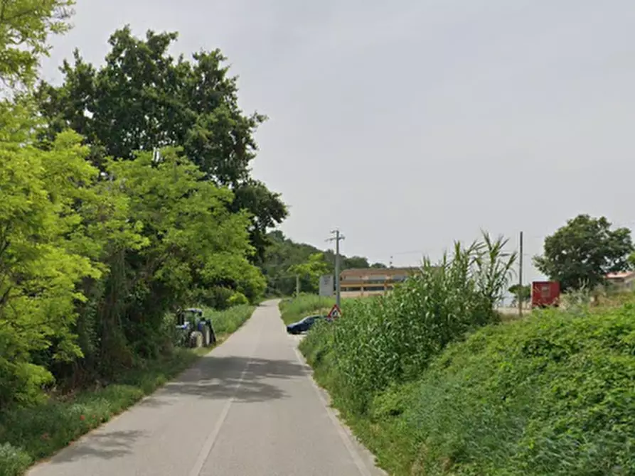 Immagine 9 di Terreno agricolo in vendita  in Strada Contrada Montecamauro a Campofilone