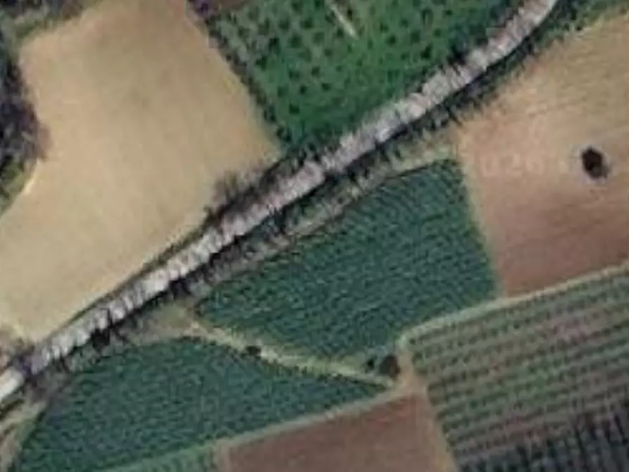 Immagine 1 di Terreno agricolo in vendita  in Strada Contrada Montecamauro a Campofilone