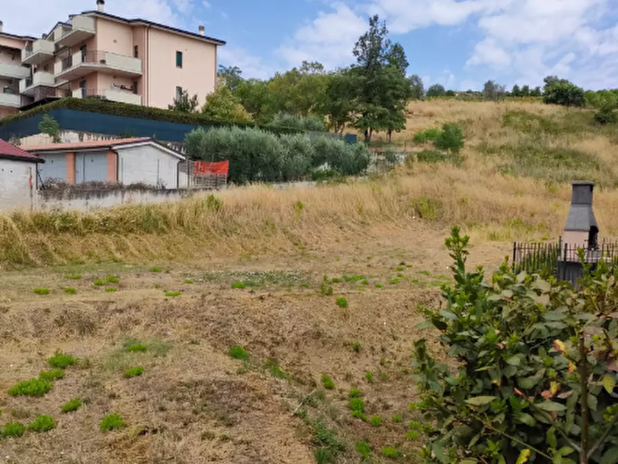 Immagine 3 di Terreno edificabile in vendita  in Contrada San Martino a Fermo