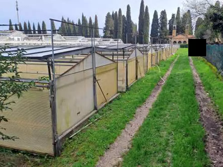 Immagine 2 di Magazzino in vendita  in Via Cinzio Cenedese a Vittorio Veneto