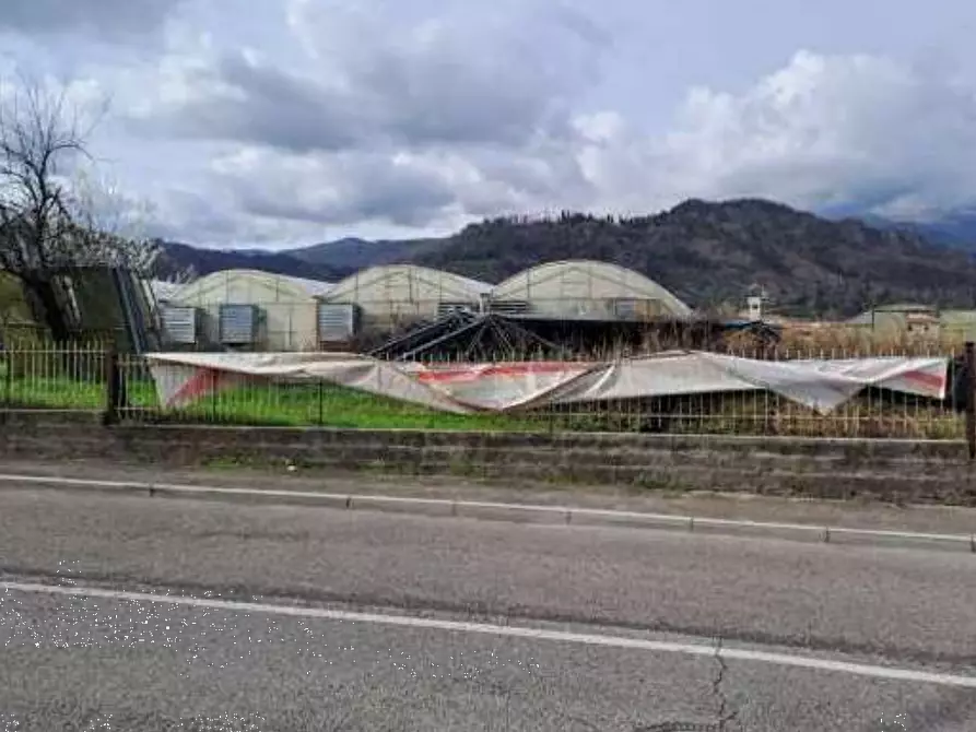 Immagine 7 di Magazzino in vendita  in Via Cinzio Cenedese a Vittorio Veneto