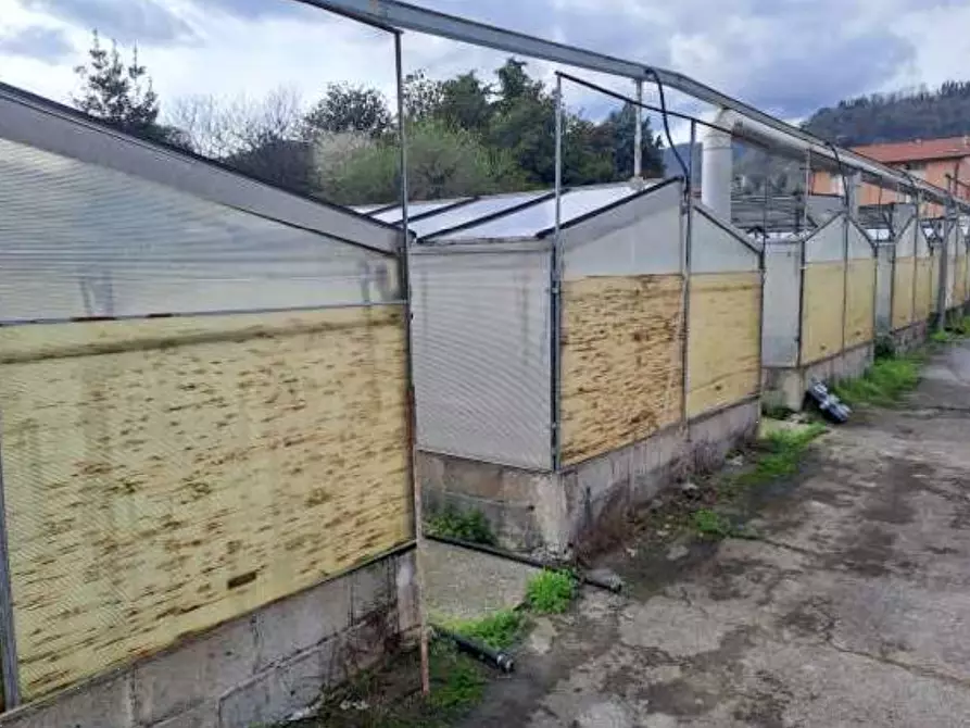 Immagine 9 di Magazzino in vendita  in Via Cinzio Cenedese a Vittorio Veneto