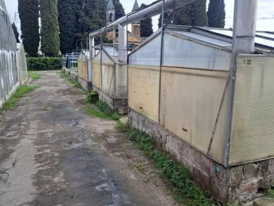 Immagine 10 di Magazzino in vendita  in Via Cinzio Cenedese a Vittorio Veneto