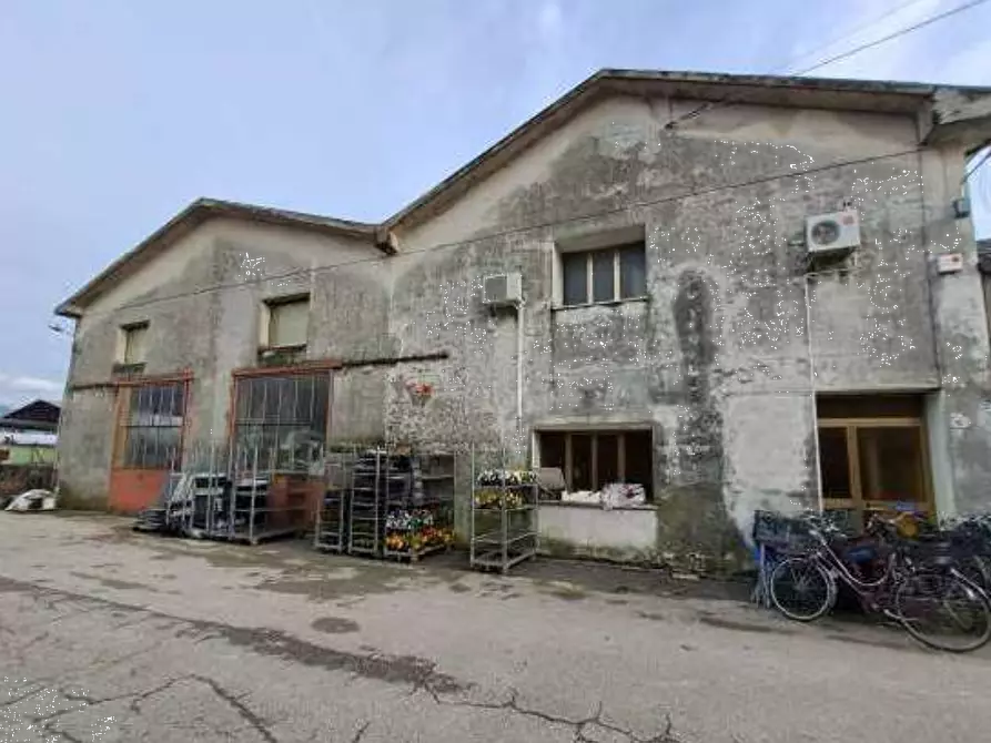 Immagine 13 di Magazzino in vendita  in Via Cinzio Cenedese a Vittorio Veneto