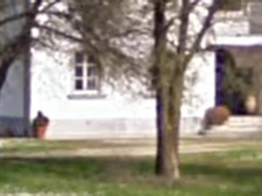 Immagine 29 di Villa in vendita  in Via Pietro Zorutti a San Giorgio Della Richinvelda