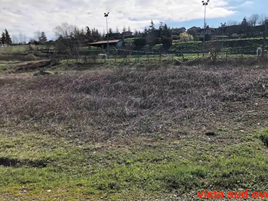 Immagine 3 di Terreno agricolo in vendita  in Località Rezzanello a Gazzola
