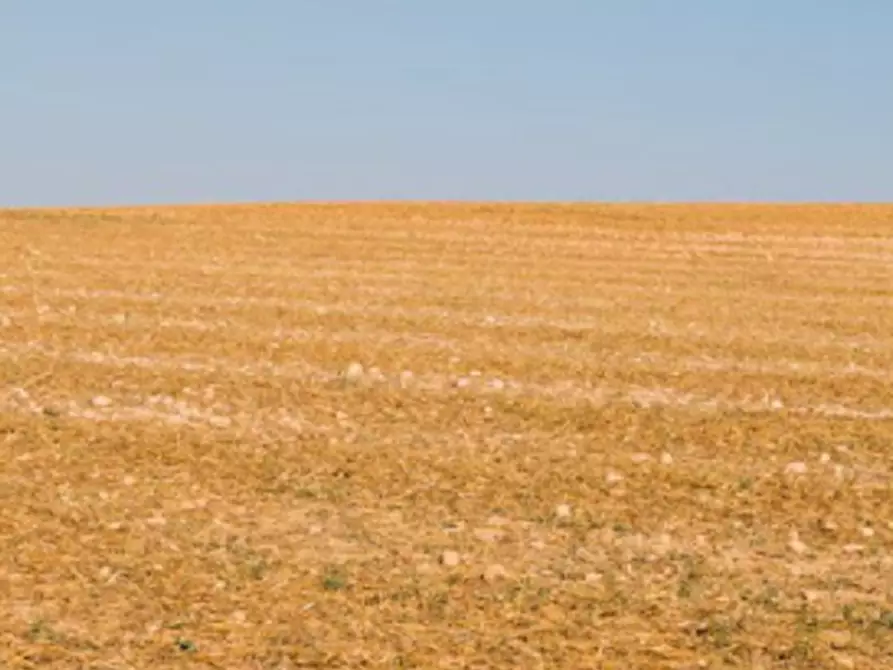 Immagine 11 di Terreno agricolo in vendita  in Località Rezzanello a Gazzola