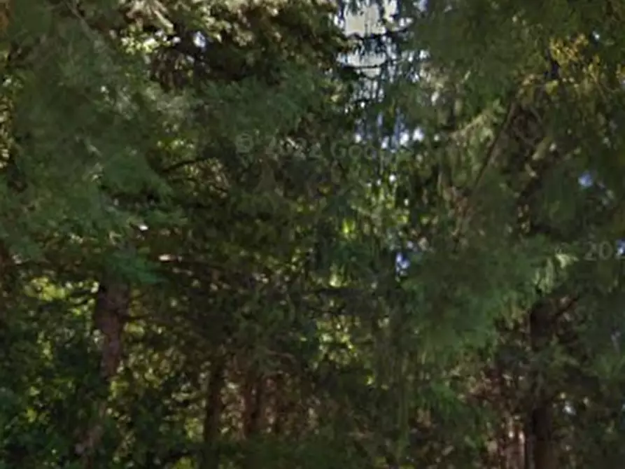 Immagine 7 di Casa indipendente in vendita  in Via San Biagio a San Severino Marche