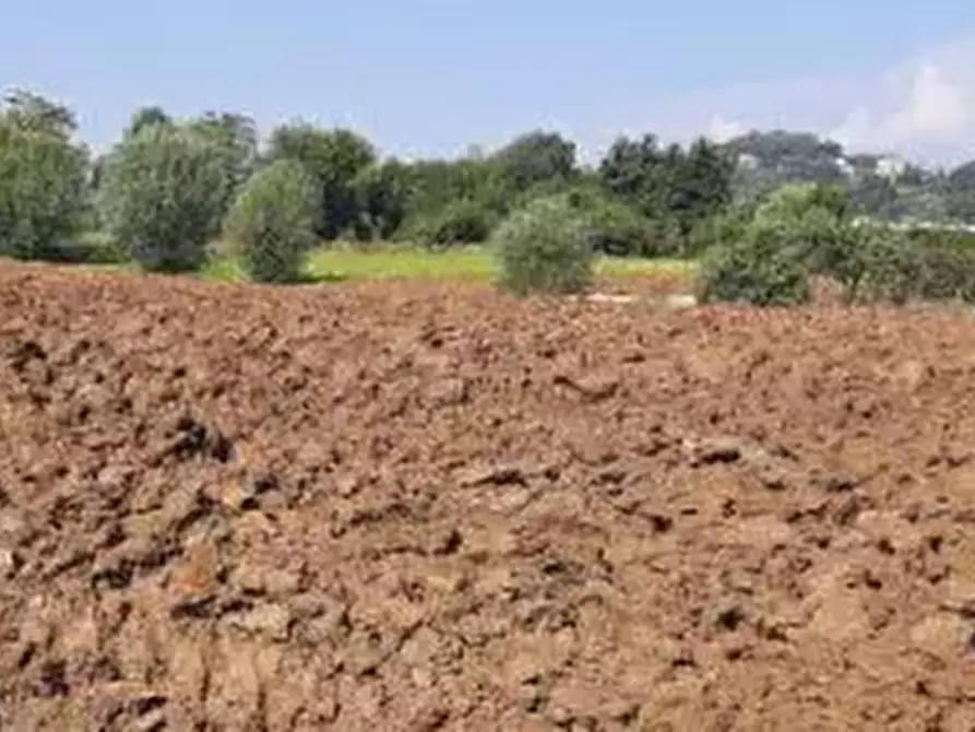 Immagine 1 di Terreno edificabile in vendita  in Via IV Novembre a Altavilla Vicentina