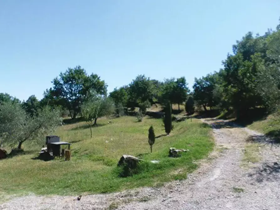 Immagine 3 di Appartamento in vendita  in Località Belvedere a Campagnatico