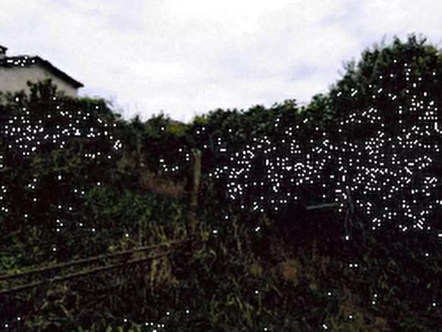 Immagine 9 di Casa indipendente in vendita  in Vicolo San Rocco  a Palestro