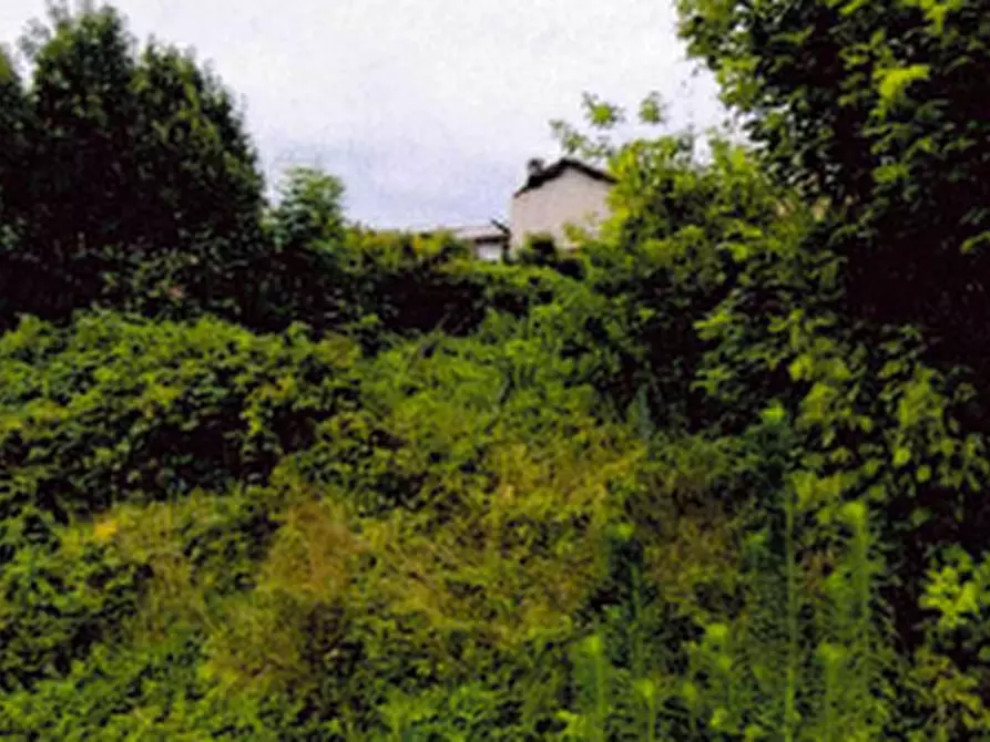 Immagine 10 di Casa indipendente in vendita  in Vicolo San Rocco  a Palestro