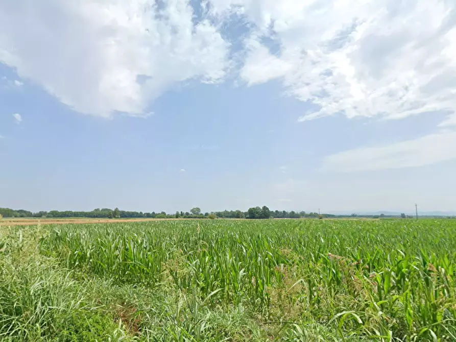 Immagine 1 di Terreno edificabile in vendita  in Frazione Cava Manara a Cava Manara