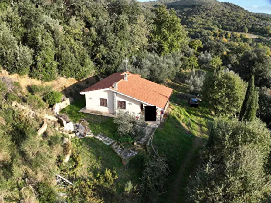 Immagine 6 di Villa in vendita  in Via Montorgiali a Scansano